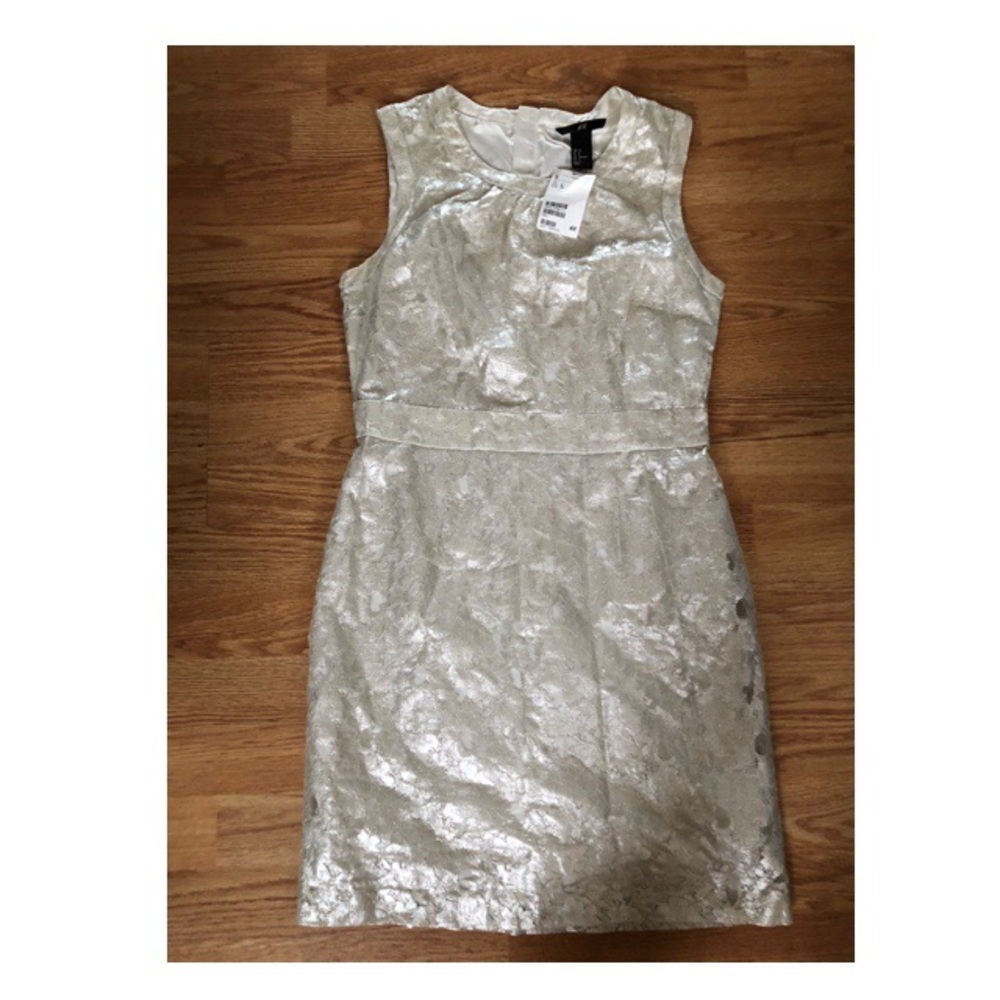 NWT h&m Dress